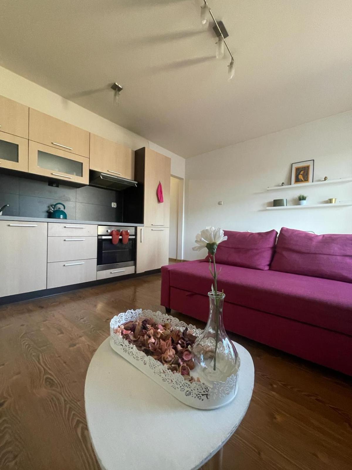 Ferienwohnung Przystan Dolnych Mlynow Krakau Exterior foto